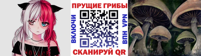 Псилоцибиновые грибы мицелий  Купить закладки  Любим 
